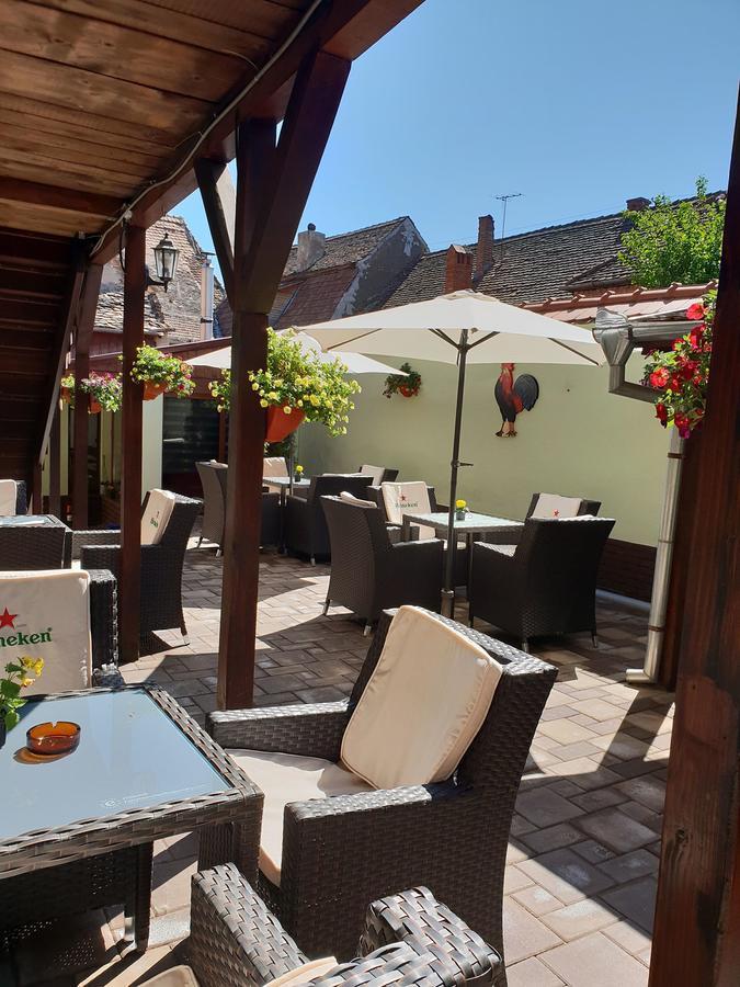 Pensiunea Cocosul Rosu Sibiu Exterior photo